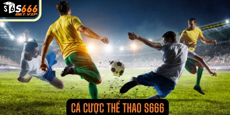 Cá cược thể thao S666