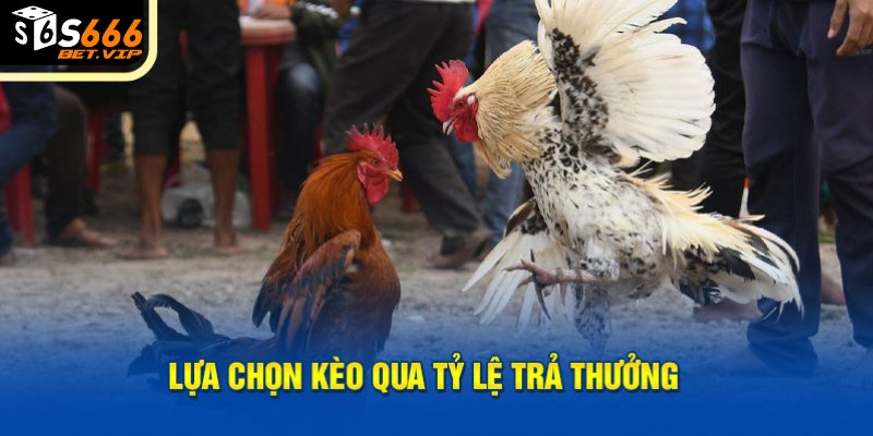 Lựa chọn kèo qua tỷ lệ trả thưởng 