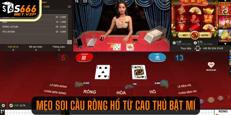 Mẹo soi cầu Rồng Hổ từ cao thủ bật mí