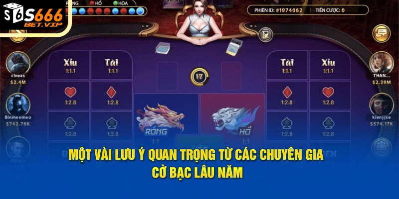 Một vài lưu ý quan trọng từ các chuyên gia cờ bạc lâu năm