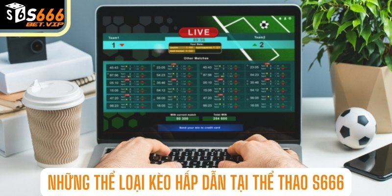 Những thể loại kèo hấp dẫn tại thể thao S666