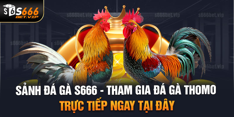 Đôi nét về đá gà S666